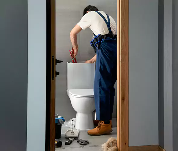 Professional Plumbers for Toilet Bowl Replacement in Rowlett, TX: Schedule Affordable Toilet Replacement Services With Us