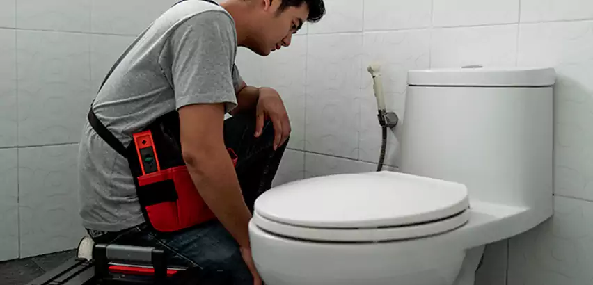 Toilet Repair in Rowlett