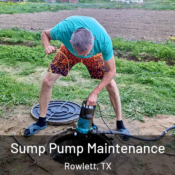  Sump Pump Maintenance Rowlett, TX